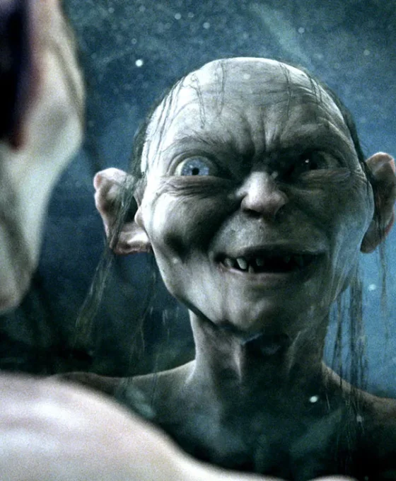 ABOUT The Hunt for Gollum