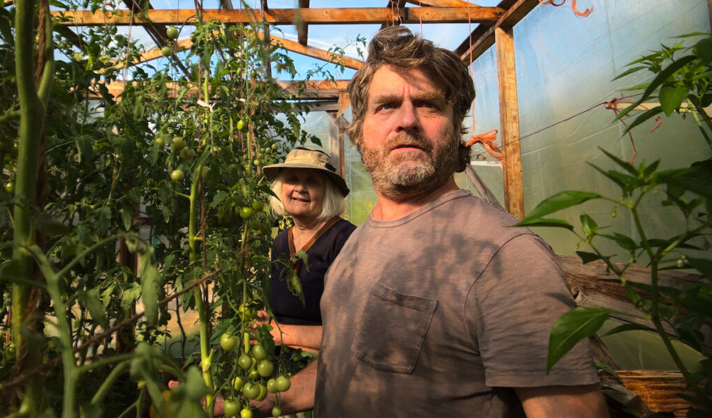 this is gardening show