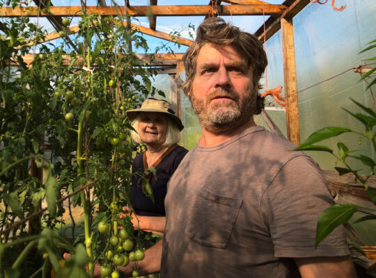 this is gardening show