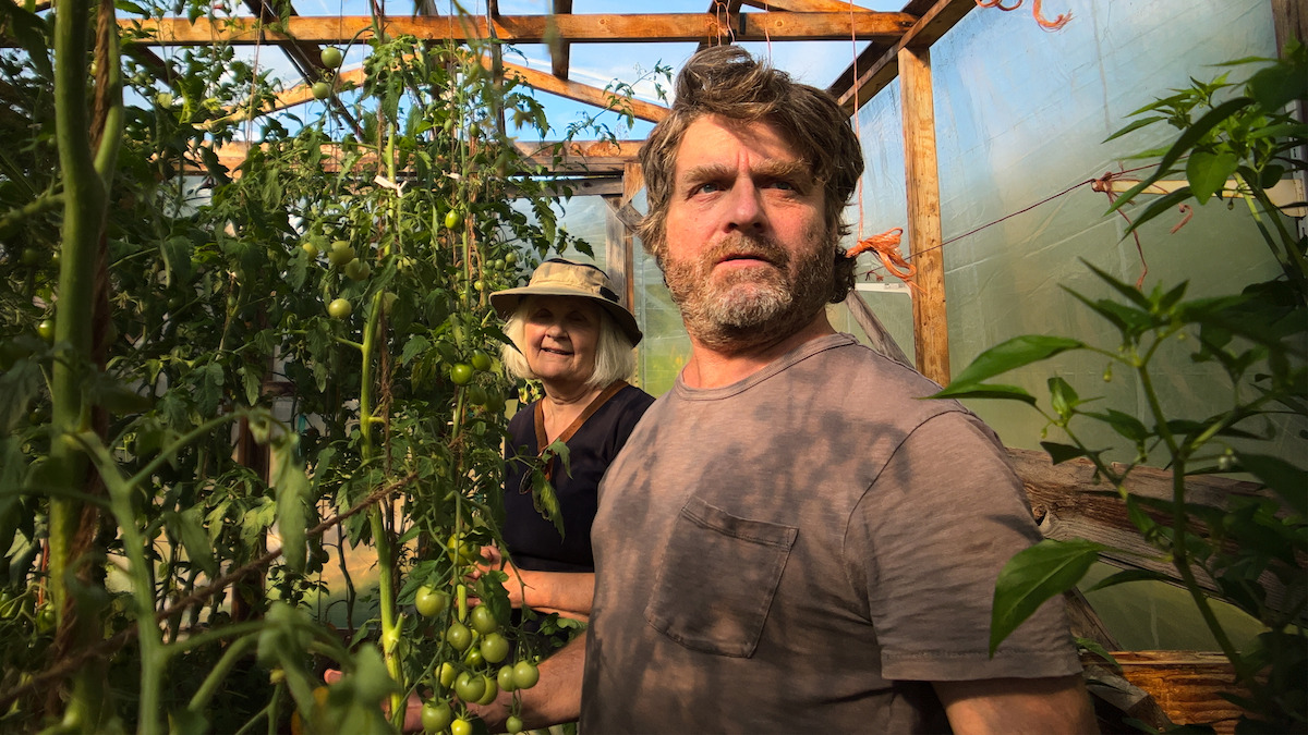 this is gardening show